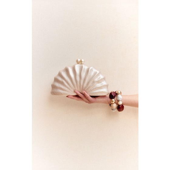 Hard Shell Clutch Bag